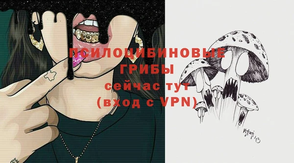 2c-b Балахна