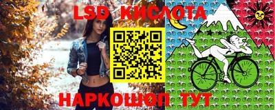гашик Кинель