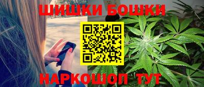 индика Волжский