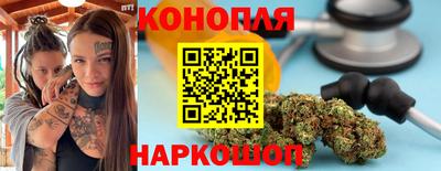 гидра Бийск