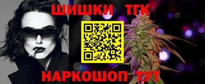 индика Беслан