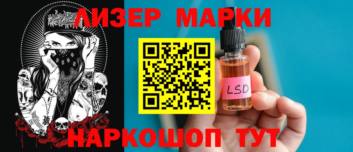 Галлюциногенные грибы Городец