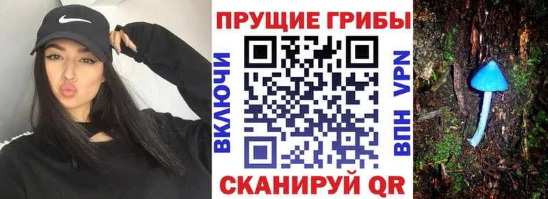 Галлюциногенные грибы прущие грибы  цены наркотик  Городец 