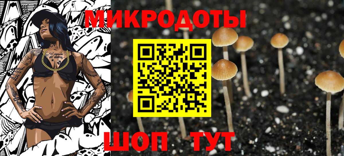 Галлюциногенные грибы мицелий  Вход с VPN  Галлюциногенные грибы Psilocybe  Городец 